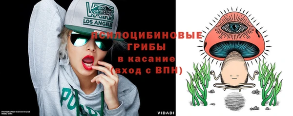 MDMA Premium VHQ Белокуриха