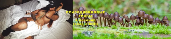 a pvp Беломорск