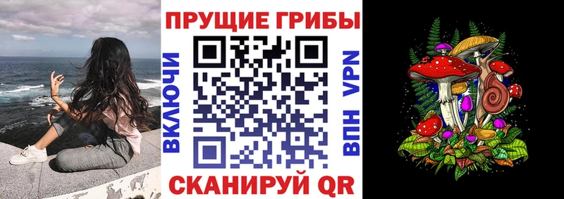 Галлюциногенные грибы GOLDEN TEACHER  сколько стоит  Верхоянск 